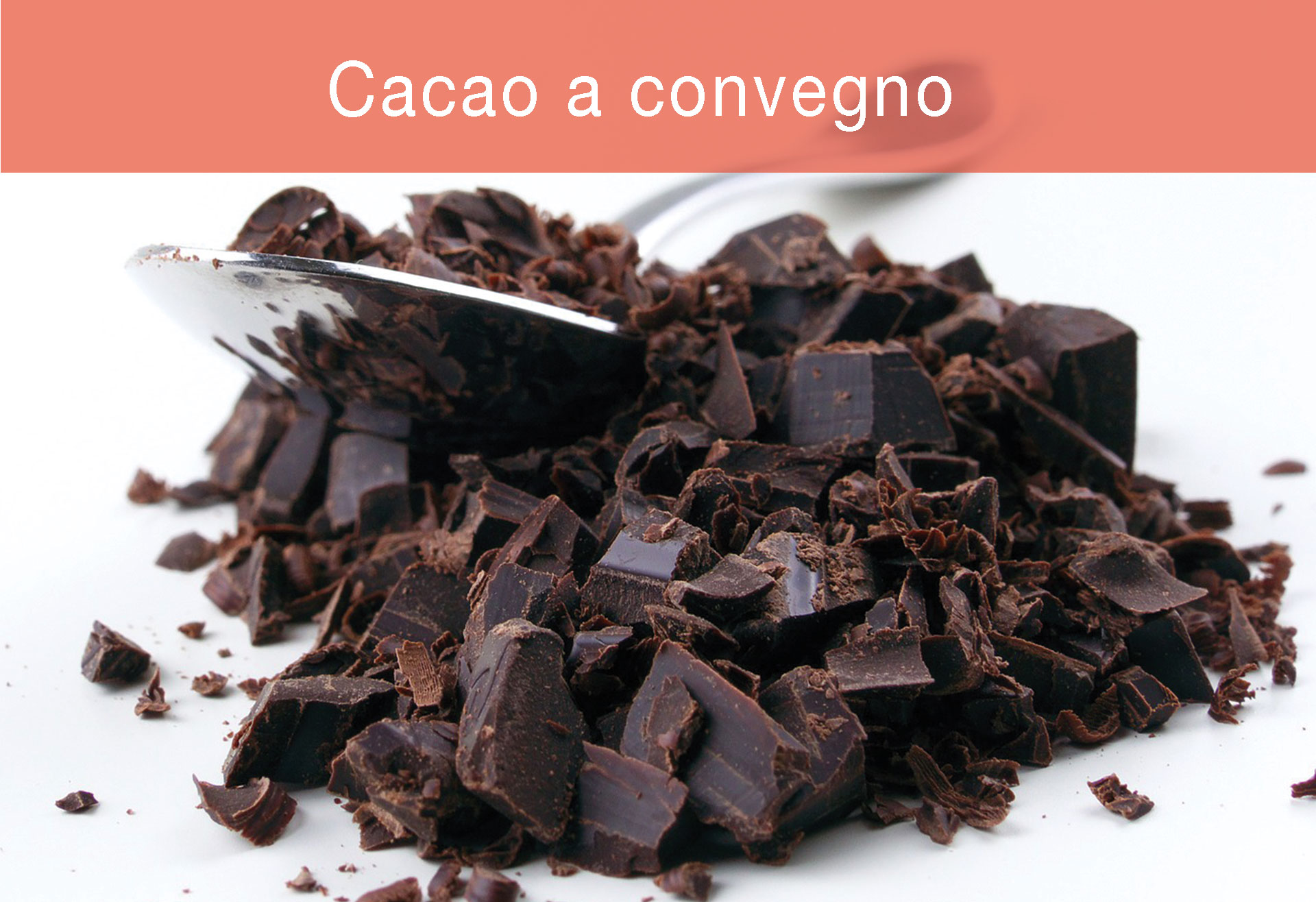 Cacao-a-convegno