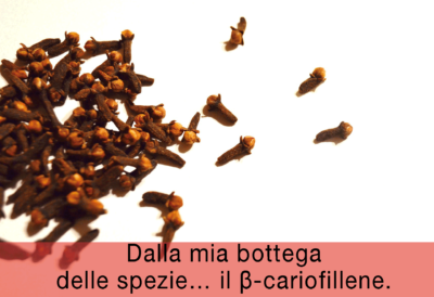 Dalla-mia-bottega-delle-spezie…-il-β-cariofillene.