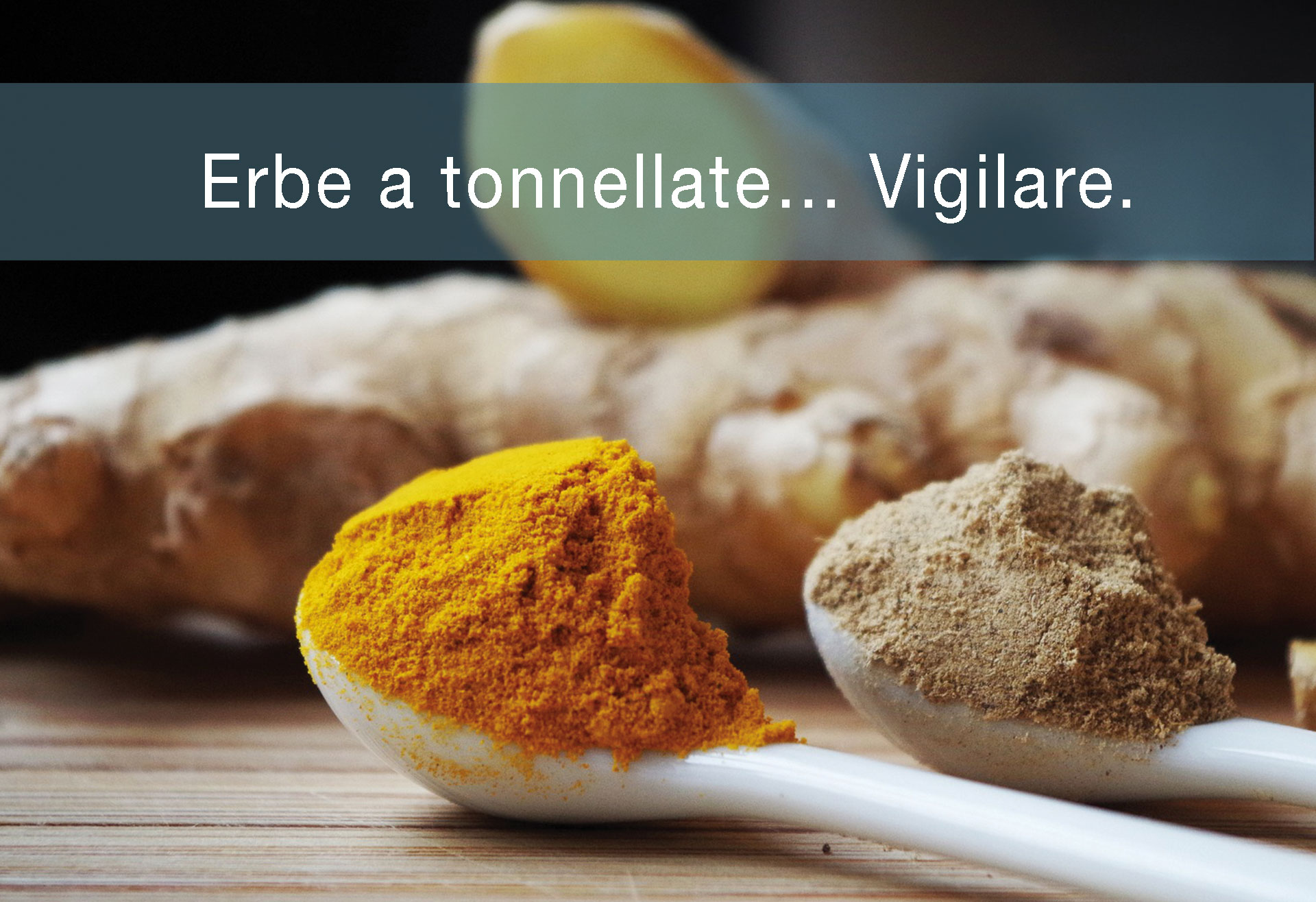 Erbe-a-tonnellate…-Vigilare.