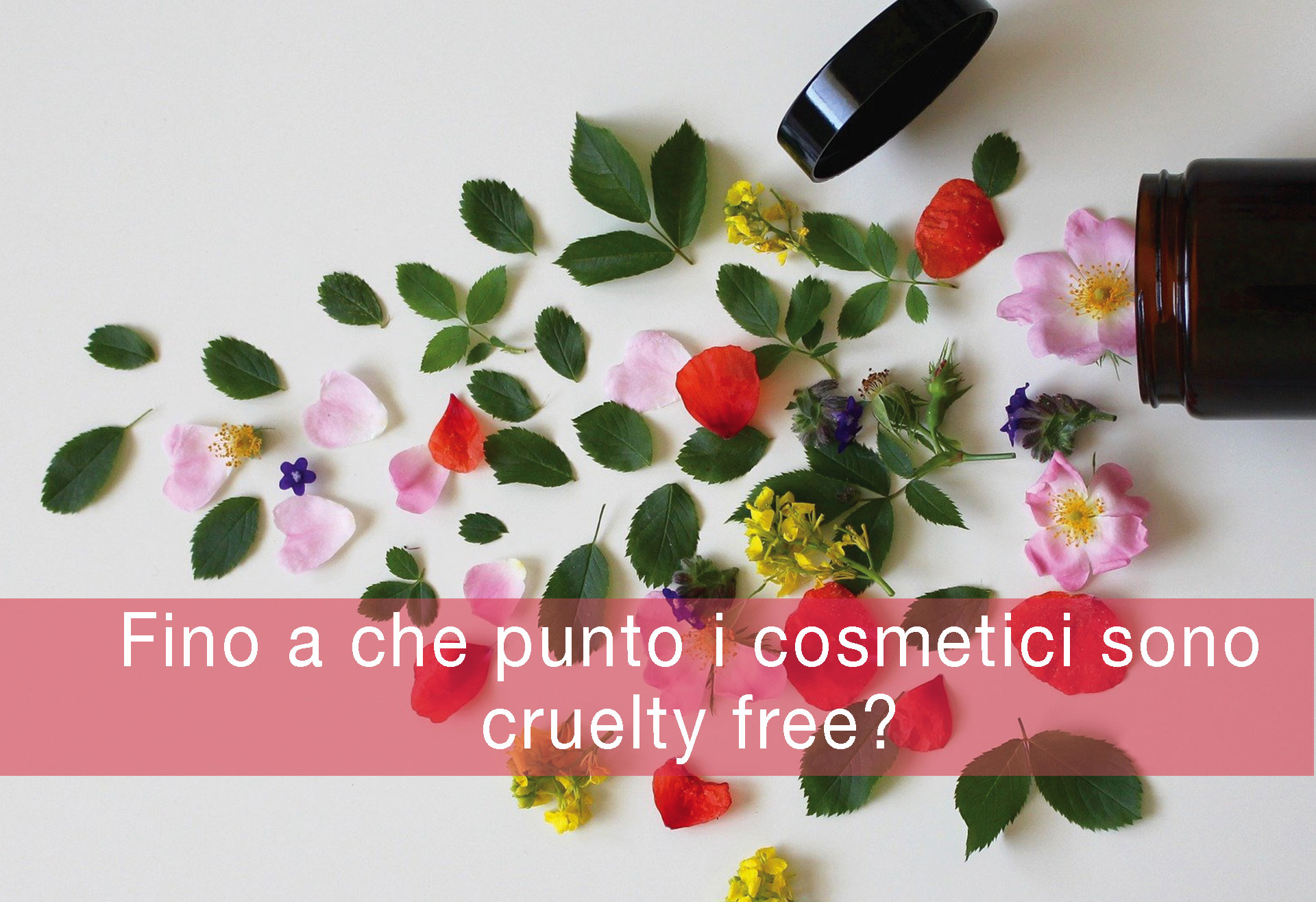 Fino-a-che-punto-i-cosmetici-sono-cruelty-free-